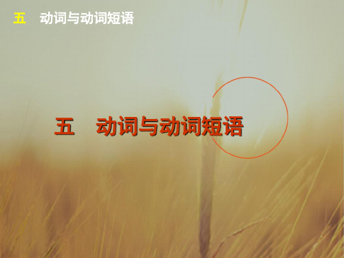 广东省广州市2018高考高三英语语法一轮复习精讲精练课件：单项填空动词与动词短语  含答案