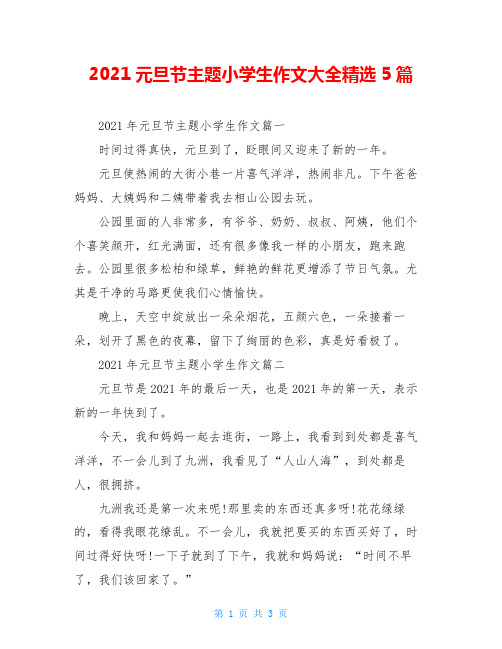 2021元旦节主题小学生作文大全精选5篇