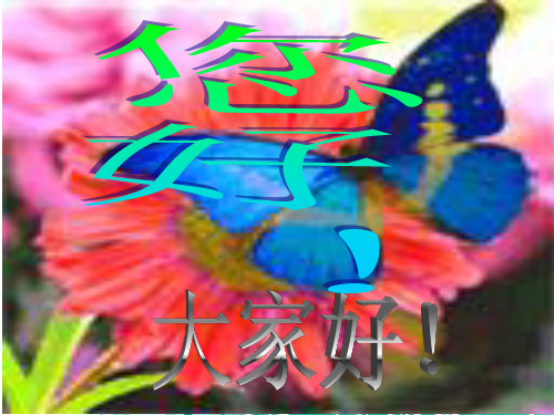 14经典结构的欣赏精品PPT课件