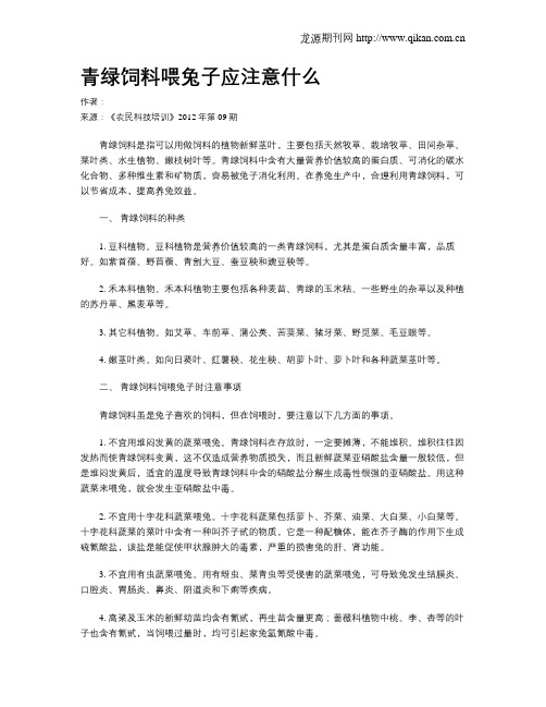 青绿饲料喂兔子应注意什么