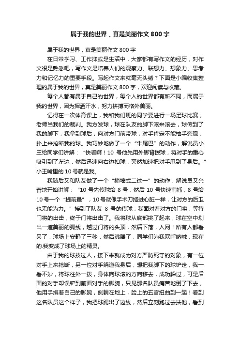 属于我的世界，真是美丽作文800字