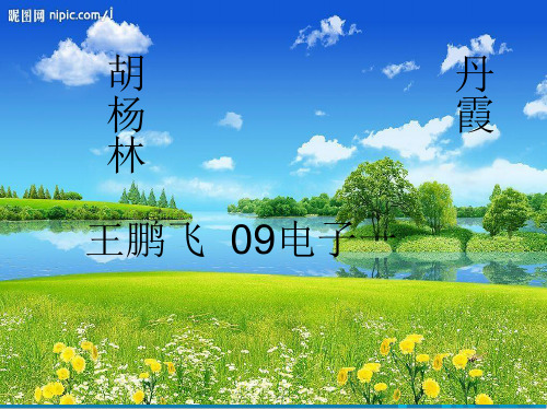 胡杨简介