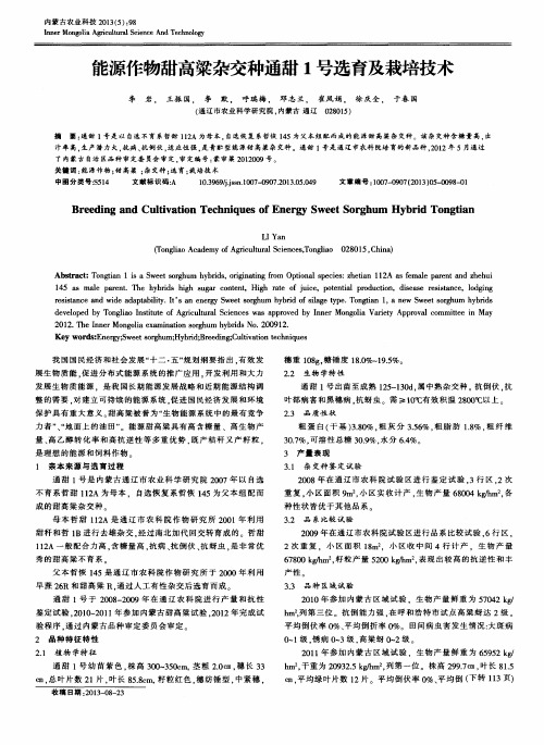 能源作物甜高梁杂交种通甜1号选育及栽培技术