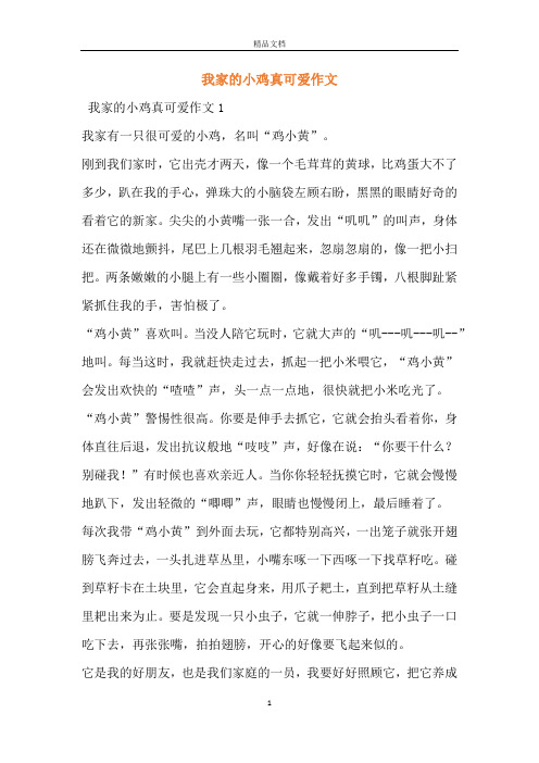 我家的小鸡真可爱作文