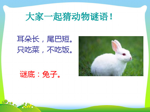 人教版二年级音乐上册：猜谜语-素材.ppt