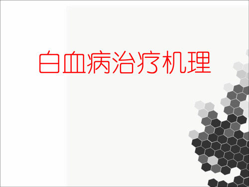 白血病及其治疗ppt课件