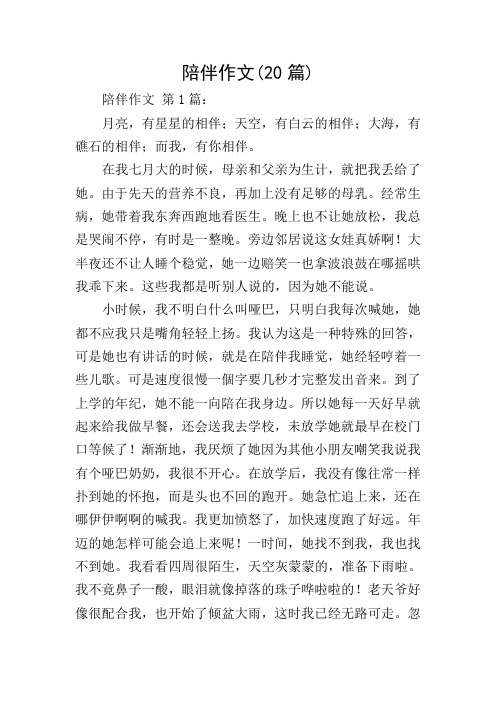 陪伴作文(20篇)
