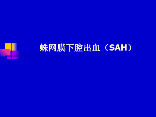 蛛网膜下腔出血PPT演示幻灯片
