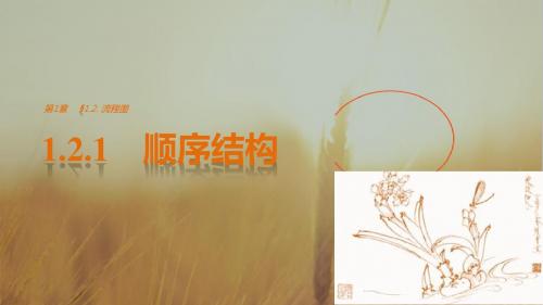 2018版高中数学必修三课件：第一章 1-2-1 顺序结构 精品