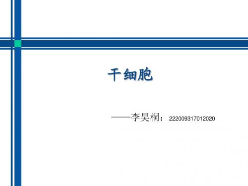 干细胞及干细胞工程