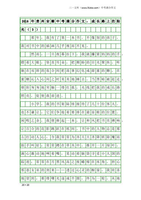 2016年贵州安顺中考满分作文：成长路上的阳光(3)