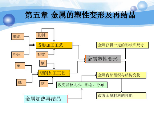 第五章 金属的塑性变形及再结晶