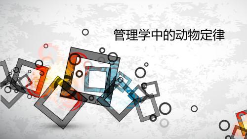 管理学中的动物定律