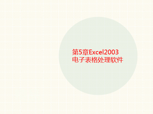 第5章Ex讲义cel2003电子表格处理软件
