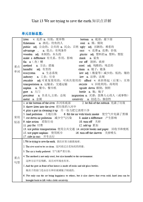 人教版 九年级unit13 We are trying to save the earth知识点详解