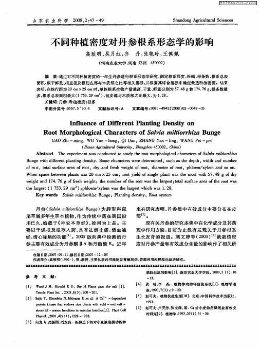 不同种植密度对丹参根系形态学的影响