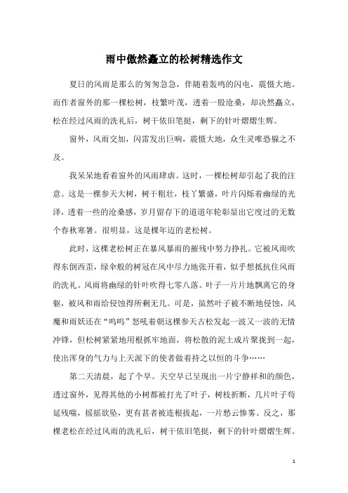 雨中傲然矗立的松树精选作文