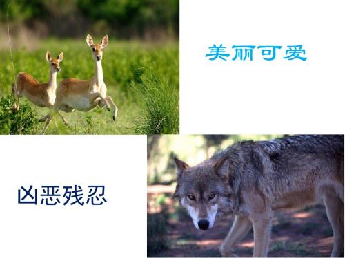 14.鹿和狼的故事(完成)