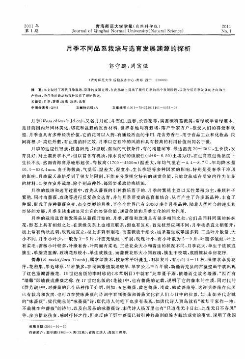 月季不同品系栽培与选育发展渊源的探析
