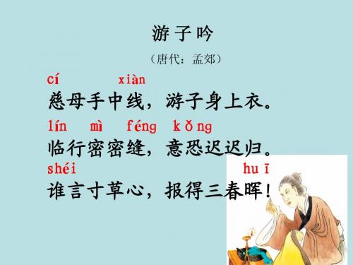 《母亲的恩情》课件