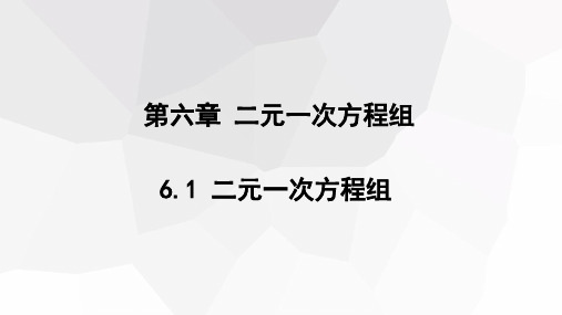6.1 二元一次方程组  课件(共17张PPT) 2023-2024学年初中数学冀教版七年级下册