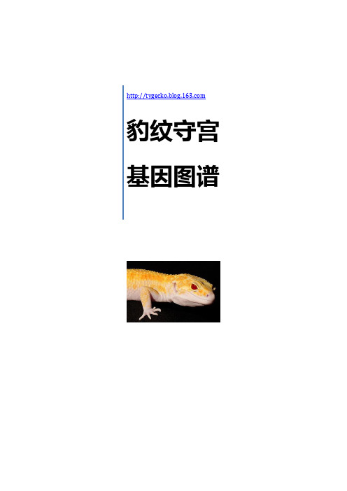 豹纹守宫图谱