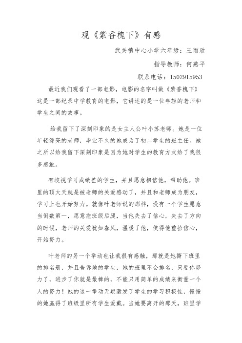 《紫香槐下》观后感