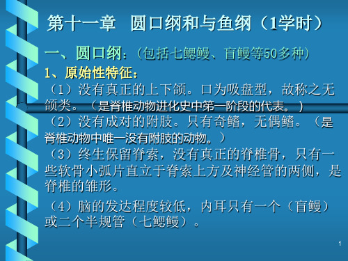动物学12原口纲和鱼纲ppt课件