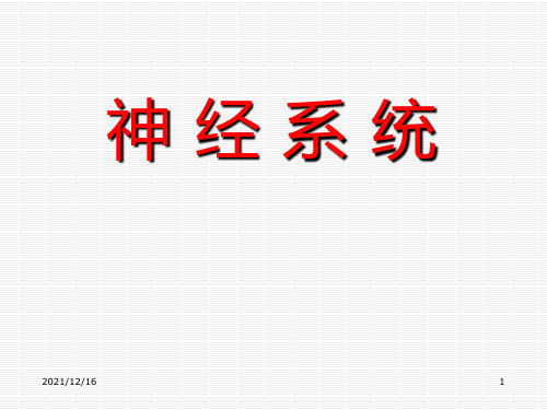 中枢神经系统-小脑、间脑、端脑
