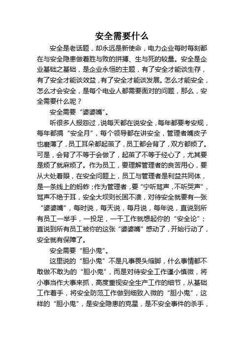 安全需要什么