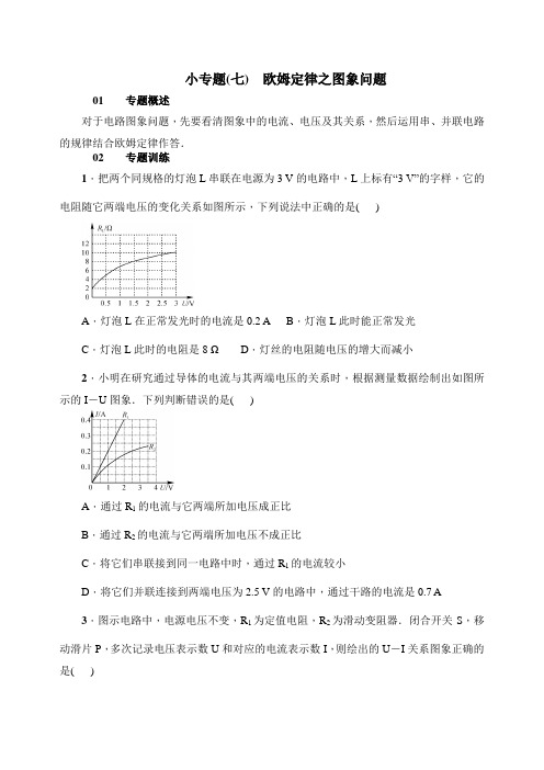 小专题(七)欧姆定律之图像问题