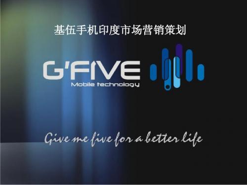 G'FIVE基伍公司印度市场市场营销策划
