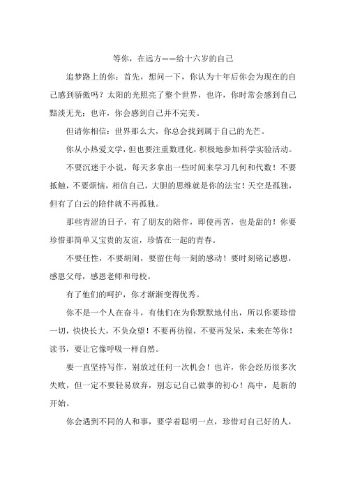 等你在远方——给十六岁的自己-作文