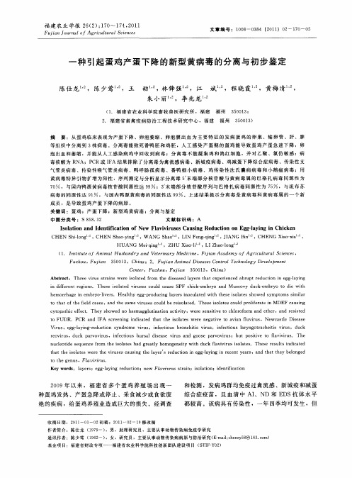 一种引起蛋鸡产蛋下降的新型黄病毒的分离与初步鉴定
