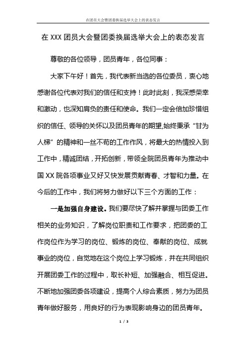 在团员大会暨团委换届选举大会上的表态发言