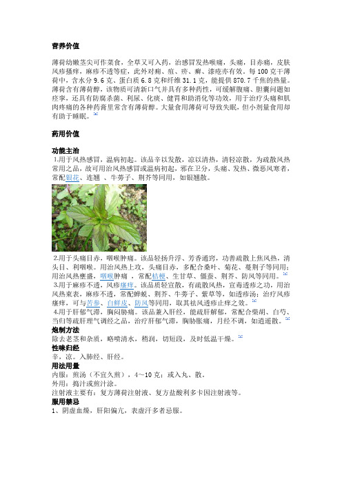 薄荷