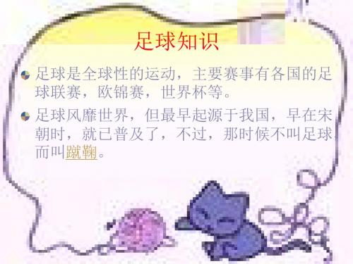《第一千个球》ppt课件