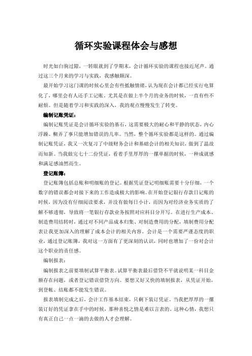 会计循环实验心得