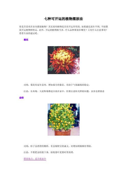 七种可开运的植物摆放法