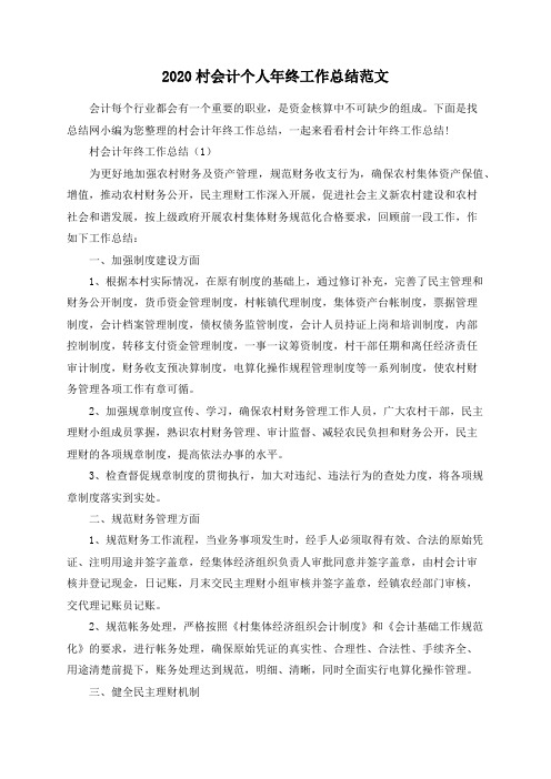 2020村会计个人年终工作总结范文