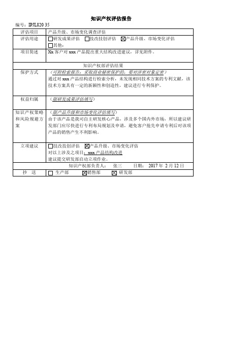 知识产权评估报告