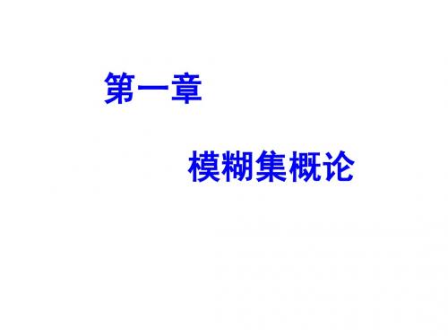 模糊集概论