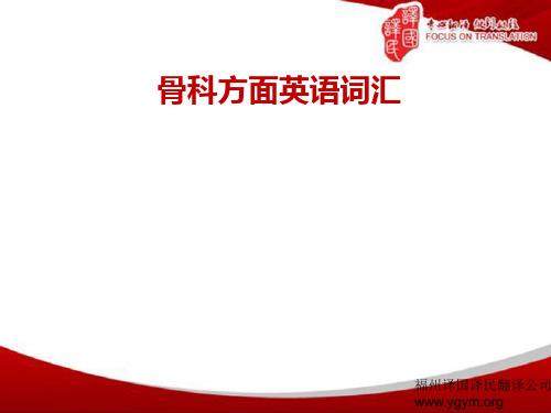 与骨科相关的英语词汇