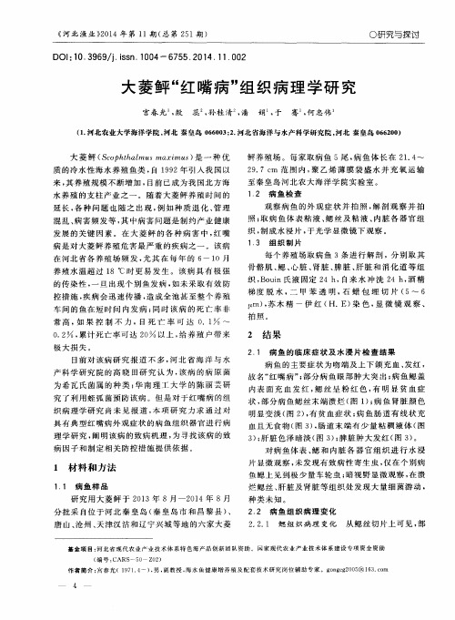 大菱鲆“红嘴病”组织病理学研究