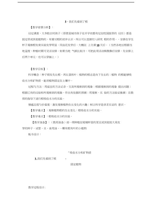 最新我们先看到了根教案及反思