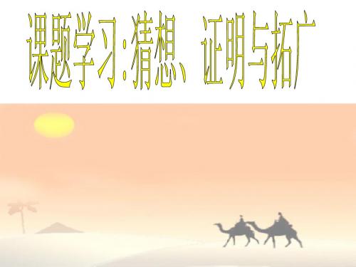 北师大版课题学习猜想证明拓广