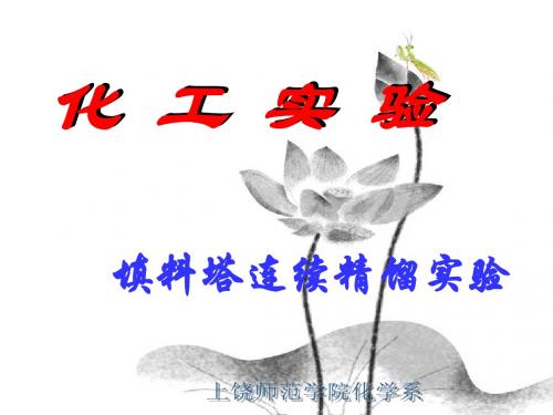 化工原理实验