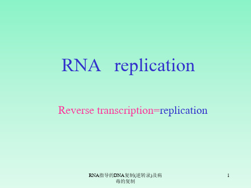 RNA指导的DNA复制(逆转录)及病毒的复制