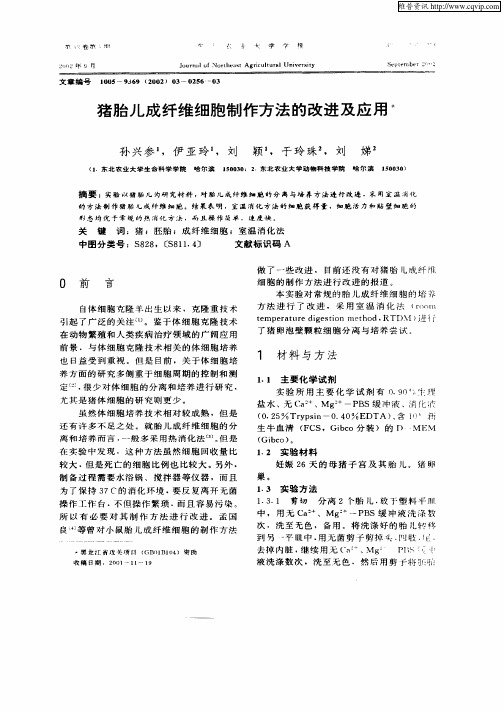 猪胎儿成纤维细胞制作方法的改进及应用