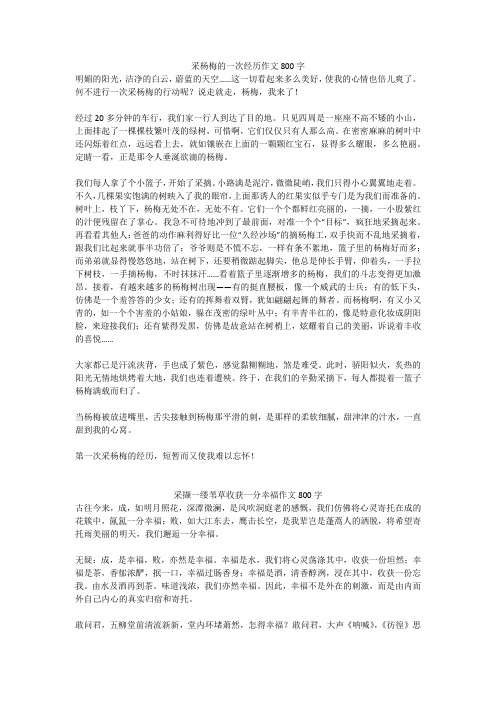 采撷一缕苇草收获一分幸福作文800字